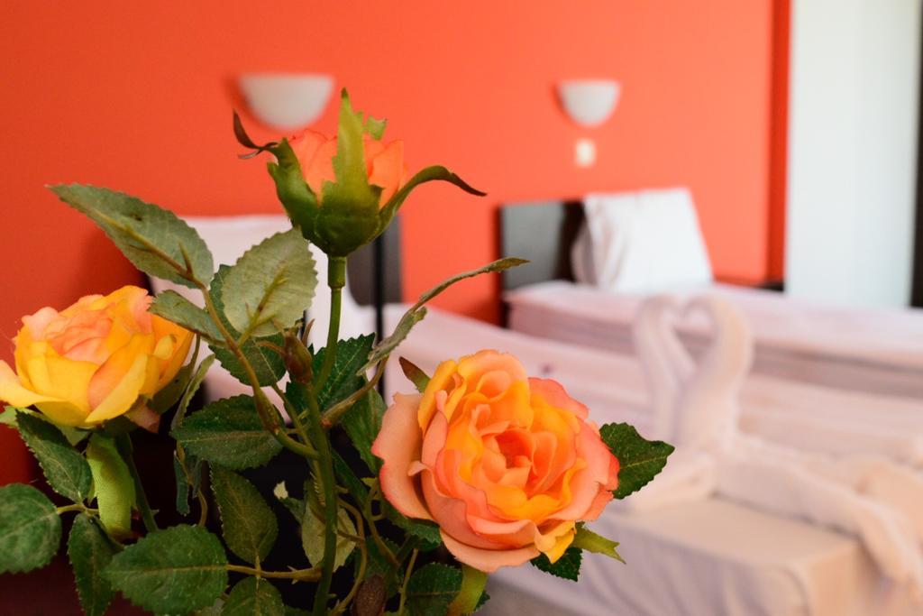 Hotel Alexander صوفيا المظهر الخارجي الصورة